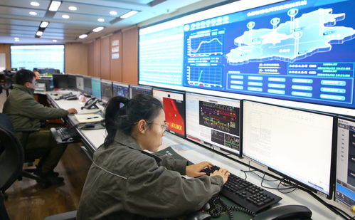 中央广播电视总台2024年春节联欢晚会版权声明